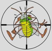 Expert Pest Control Services, LLC image 1